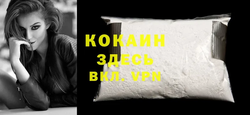 дарнет шоп  Олонец  Cocaine Fish Scale 